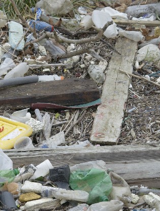 Picture of rubbish on the foreshore